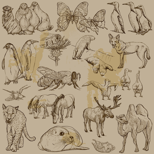 Animals - Hand drawn vector pack - Vetor, Imagem