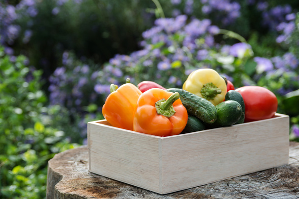 Wooden box with fresh vegetables - Foto, Imagen