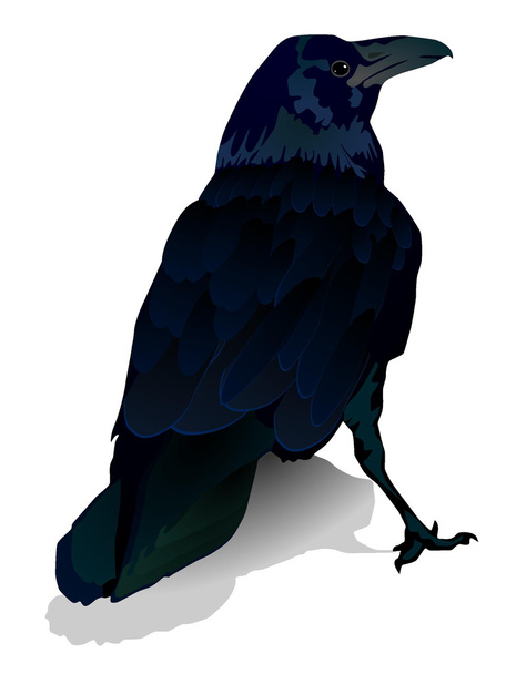 Vector image of a crow - Vektor, kép