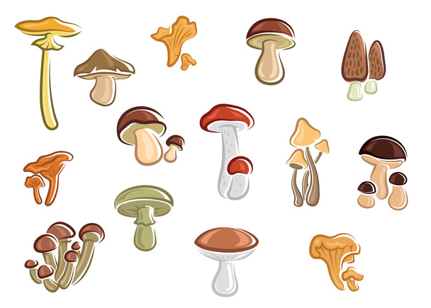 Sammlung von Cartoon-Pilzen und Pilzen - Vektor, Bild