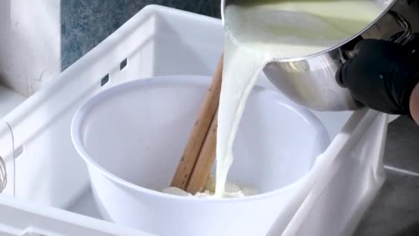 Налийте гаряче сире молоко в басейн, готуючи сир ферментовані молочні продукти для домашніх умовах частотою. акуратність - Кадри, відео
