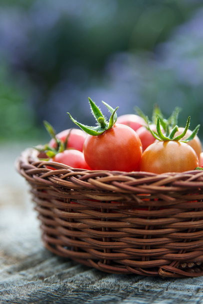 Cherry tomatoes in a small basket - Fotó, kép