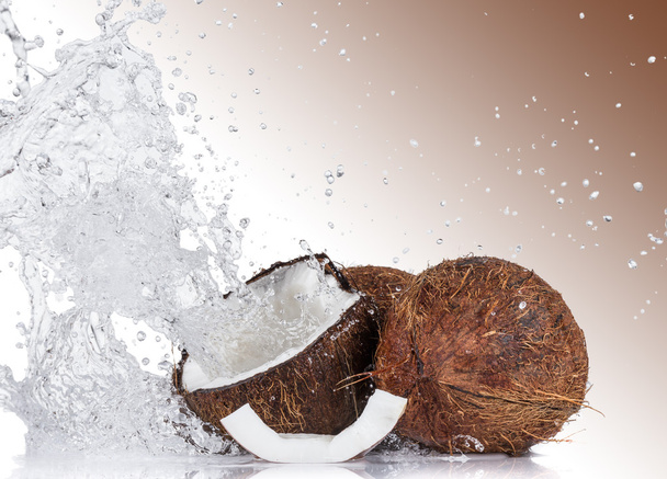 Cracked coconuts on white background - 写真・画像
