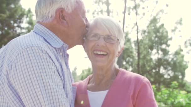 Senior Couple Embracing Outdoors - Materiał filmowy, wideo
