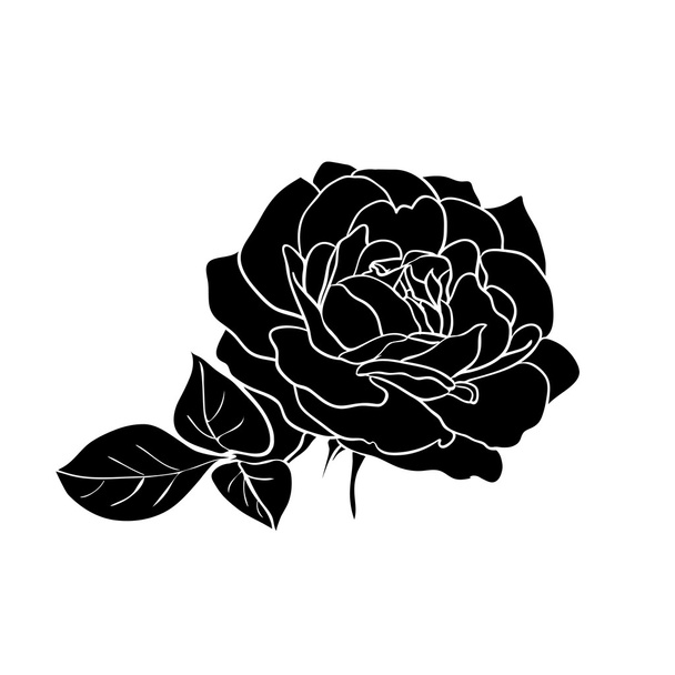 silhouette of rose  - Vetor, Imagem