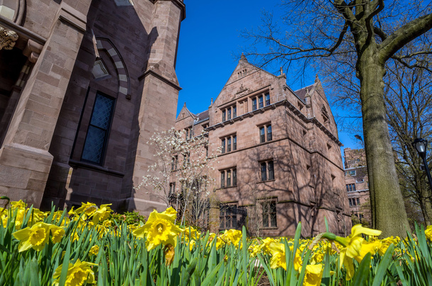 Edificios universitarios de Yale en primavera cielo azul
 - Foto, Imagen