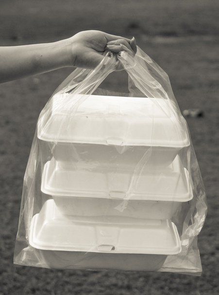 Foam containers in clear plastic bags - Photo, Image