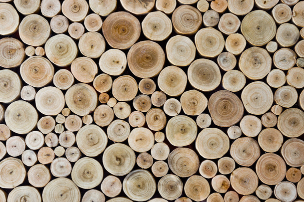 Fondo de tronco de madera redonda
 - Foto, Imagen
