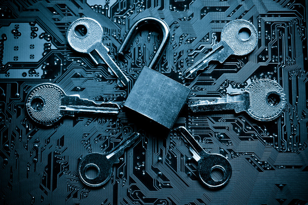 Open lock, printplaat en sleutels - Foto, afbeelding