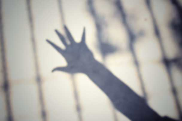 kézzel és shadow - Fotó, kép