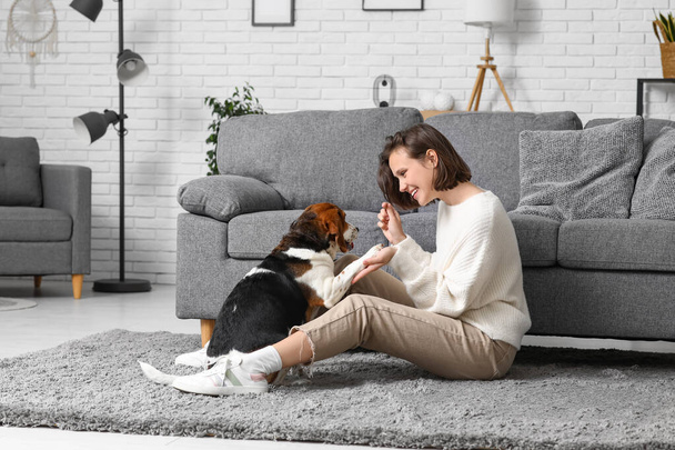 Молодая женщина играет с очаровательной собакой Бигл на полу рядом с диваном дома - Фото, изображение