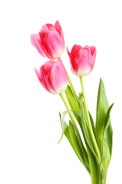 Three pink tulips - Foto, Imagen