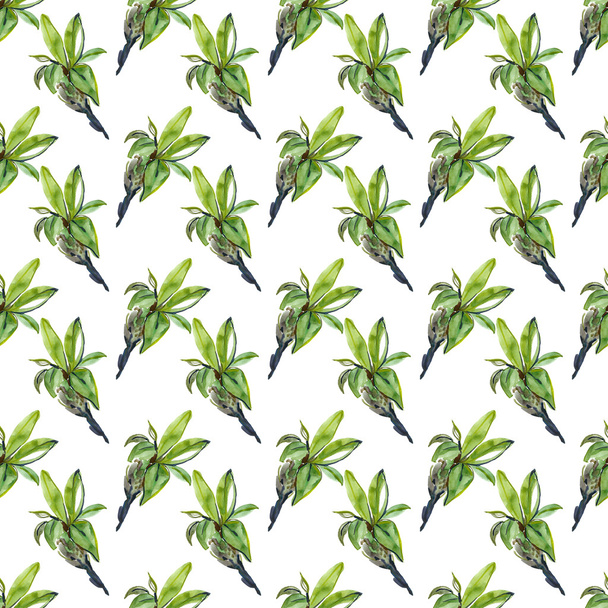 Гілка листя вишні
 - Фото, зображення