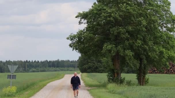 Tartu, Estonya Bir adam tarla boyunca uzun toprak bir yolda yürüyor. - Video, Çekim