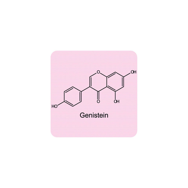 ゲニステイン骨格構造図.ピンクの背景にあるイソフラバノン化合物の科学的イラスト. - ベクター画像