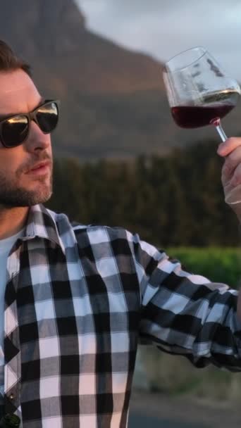 ブドウ畑で赤ワインのグラスを握る男. グラスワインの手. アウトドアワイナリーレストラン旅行ツアーでのワインテイスティング. ブドウ園の垂直に赤ワインのグラスを持っている男 - 映像、動画