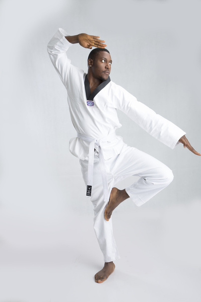 young sportsman studying martial arts - Photo, Image