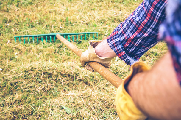 Man arms raking hay with pitchfork on field - Foto, Imagem