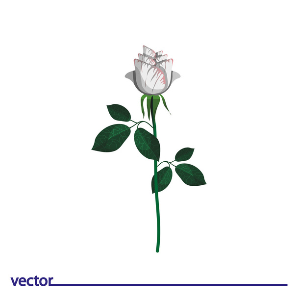 Icon of white rose - Διάνυσμα, εικόνα