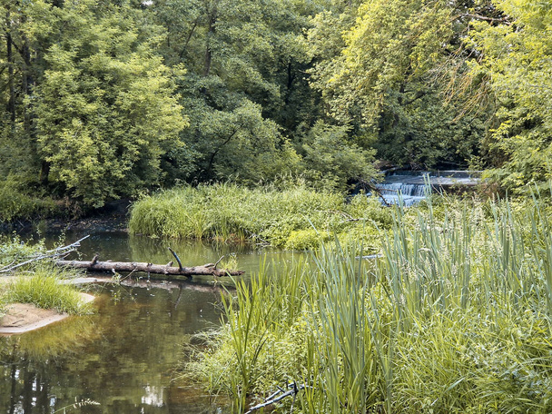 La petite rivière sauvage Grabia dans le centre de la Pologne. - Photo, image