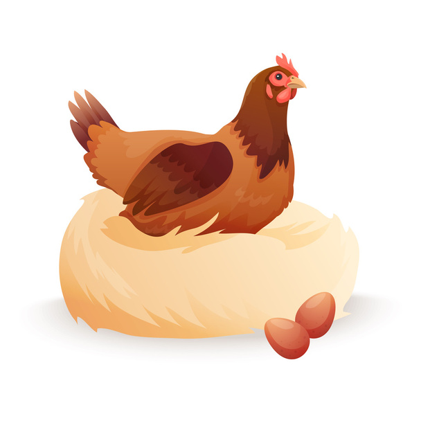 Hen in nest sitting on eggs. - Vector, Image