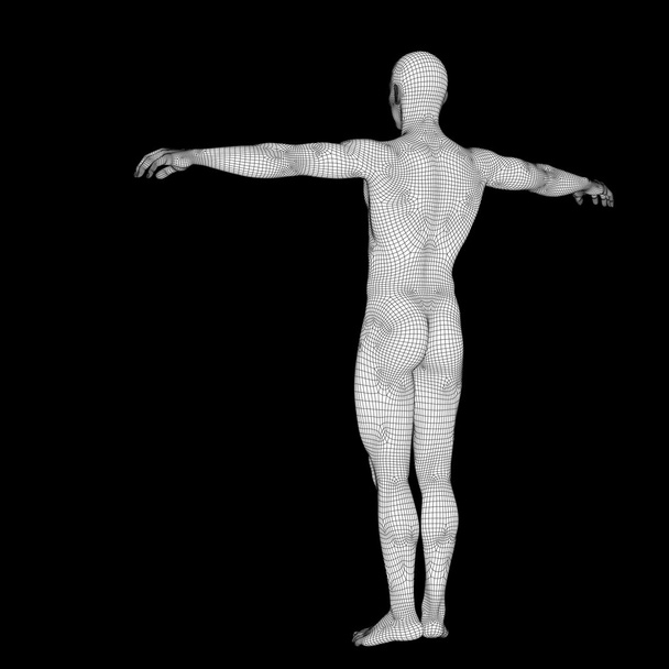 Masculino feito de wireframe branco
 - Foto, Imagem