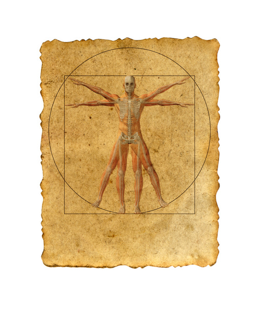 fogalmi vitruvian emberi test - Fotó, kép