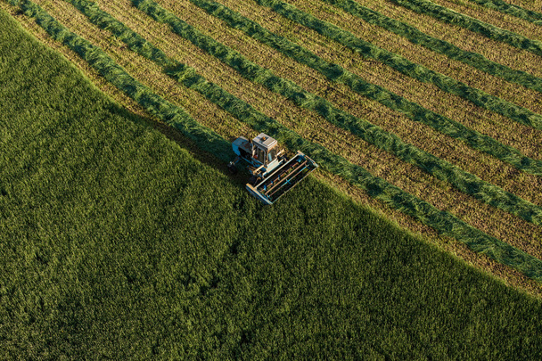 vista aérea dos campos de colheita com combinar
  - Foto, Imagem