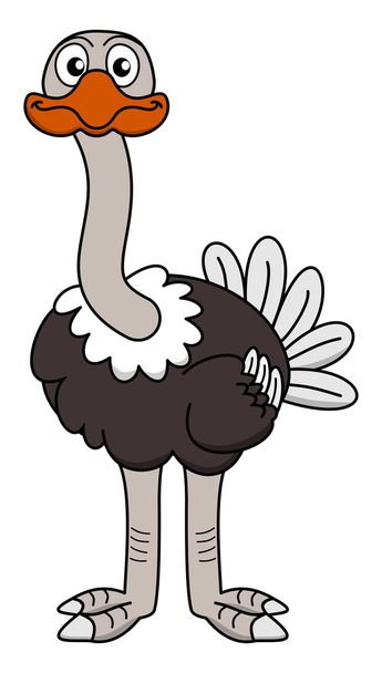 an ostrich looking ahead - Vector, Image
