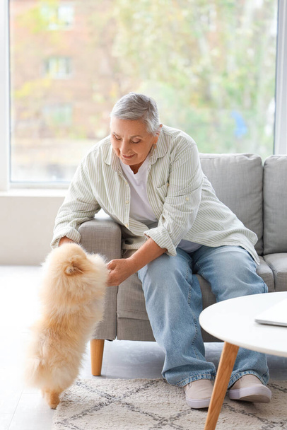 Seniorin mit Pommernhund zu Hause auf Sofa - Foto, Bild