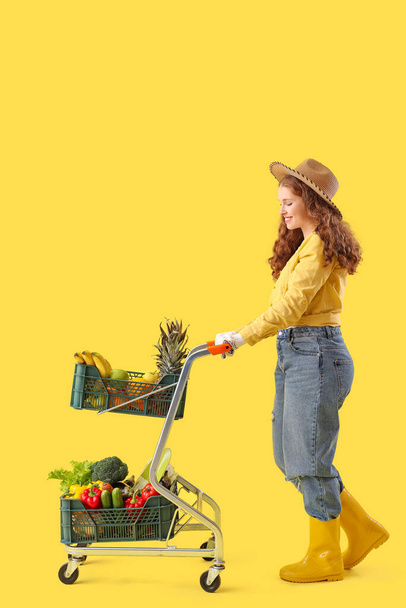 Agricultora con carro de comida sana sobre fondo amarillo - Foto, imagen
