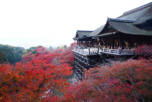 fall foliage in kyoto - Photo, Image
