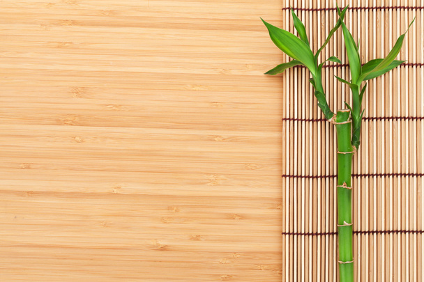 Bamboe plant en mat - Foto, afbeelding