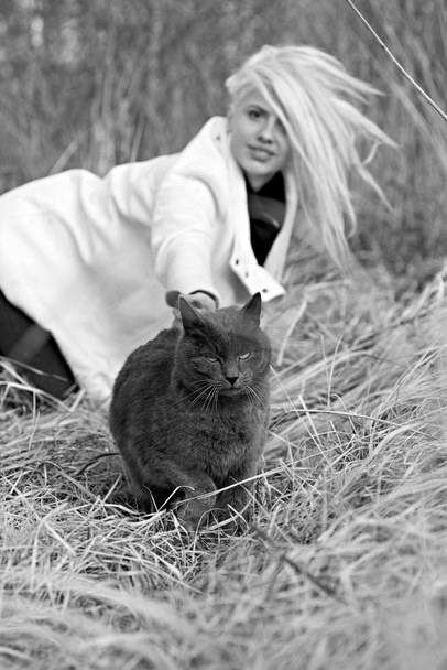 Giovane ragazza che gioca con un gattino nell'erba
. - Foto, immagini
