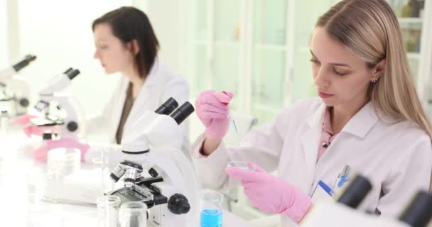 La asistente seria gotea reactivo azul en la placa Petri trabajando con un colega en el laboratorio. Estudiantes químicos realizan pruebas durante la clase en la universidad - Metraje, vídeo