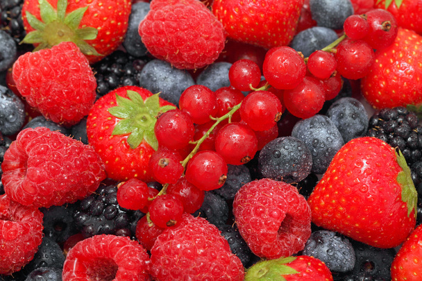 Close-up view on pile of different berries with water drops - Foto, afbeelding