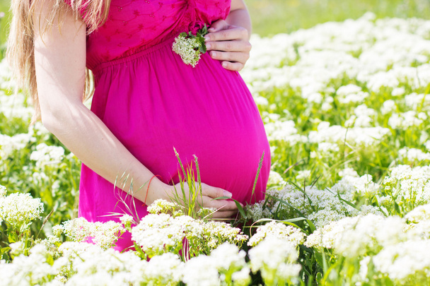 embarazada sosteniendo su vientre - Foto, Imagen