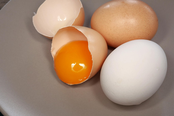 tojást és tojássárgáját - Fotó, kép