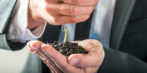 Businessman watering  a sprouting seedling - Photo, Image