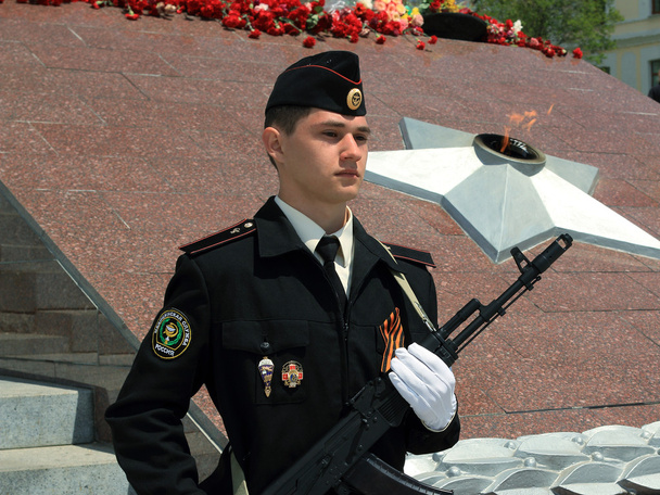 Guard of honor - Photo, Image