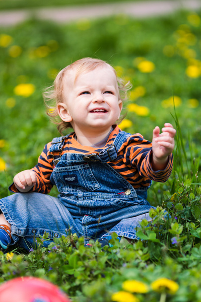 Cute baby boy sitting on a lawn with dandelions - Foto, imagen