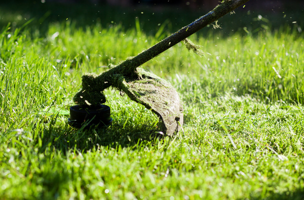 Ruohonleikkurilla varustetun nurmikon leikkaaminen
 - Valokuva, kuva