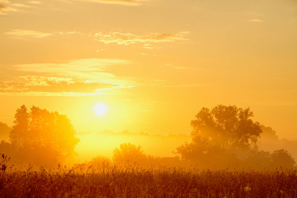 Sonnenaufgang an einem nebligen Sommermorgen über der Landschaft - Foto, Bild