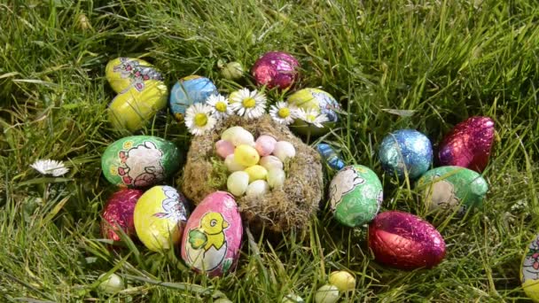 Wielkanocne jaja w gnieździe w ogrodzie - Materiał filmowy, wideo