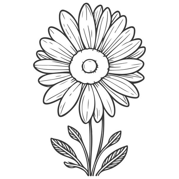 Girasole disegno floreale grigio - Vettoriali, immagini