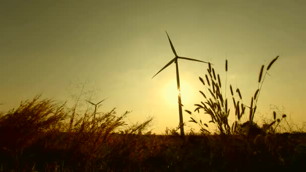 vindkraftverk med solnedgång. - 映像、動画