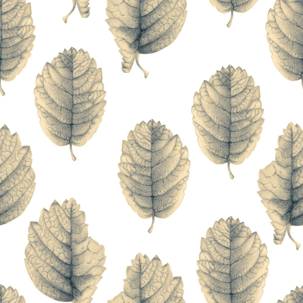 Seamless pattern with beautiful spring leaves  - Foto, Imagen