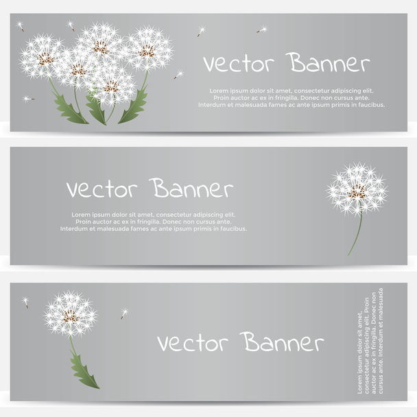 Dandelion banner on gray background - Vetor, Imagem