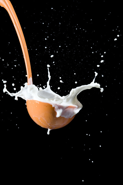 Scoop and milk - Foto, Bild