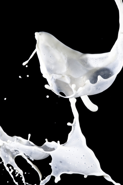Milk - Фото, изображение